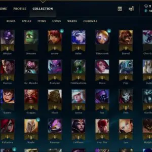 euw champion accounts